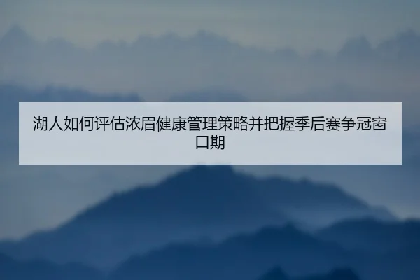 湖人如何评估浓眉健康管理策略并把握季后赛争冠窗口期
